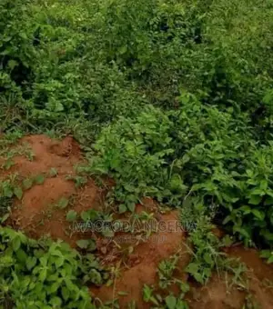 Joint Venture 4.1 Hectares of Land for Sale in Ikeja Gra