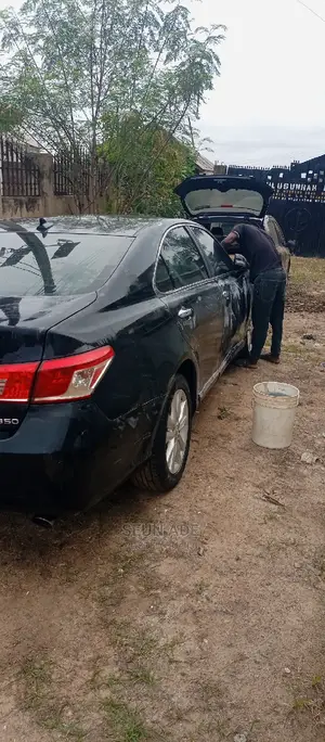 Car Buffing and Polish Services