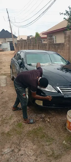 Car Buffing and Polish Services