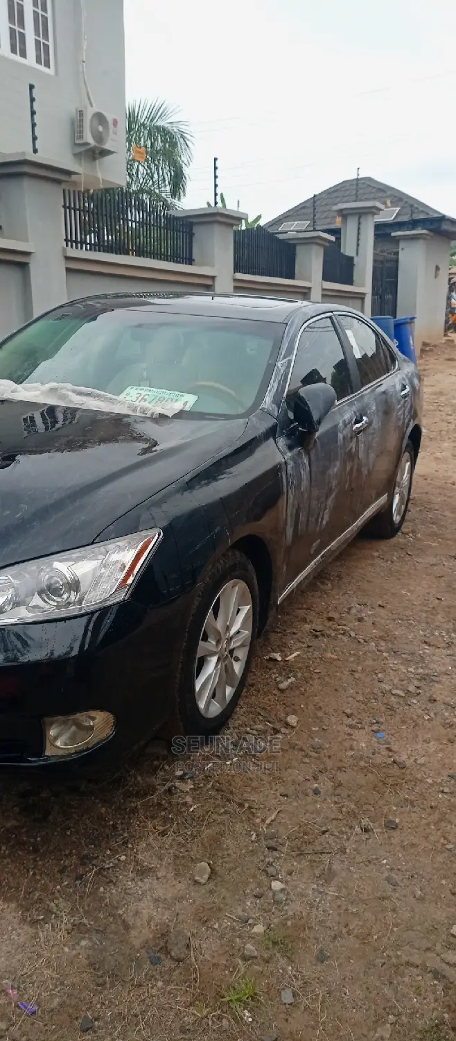 Car Buffing and Polish Services