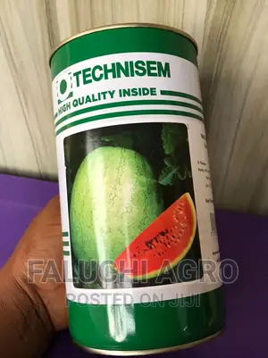 Watermelon Seed ( Kaolack 500g)