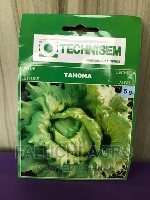 Lettuce Seed (Tahoma)