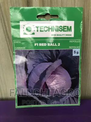 Hybrid Cabbage Seeds (F1 Red Ball 2)