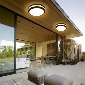 Modern LED Ceiling Light