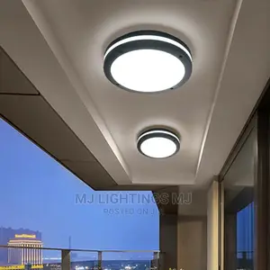 Modern LED Ceiling Light