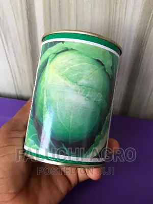 Hybrid Cabbage Seed (Minotaur F1)