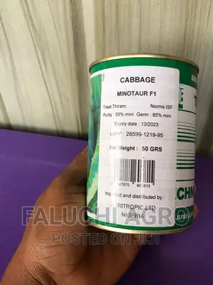 Hybrid Cabbage Seed (Minotaur F1)