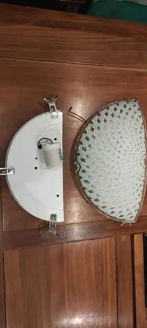 Ceiling Wall Lamp Light.