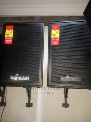 Original Virgin Wall Mountable Speaker