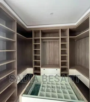 Luxury Walk-in Closet Interior Design