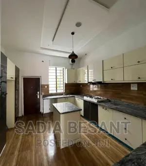 Exquisite Kitchen Cabinet Design With Accessories
