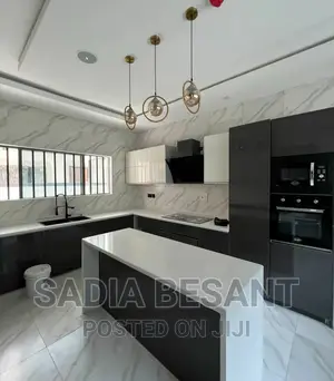 Exquisite Kitchen Cabinet Design With Accessories