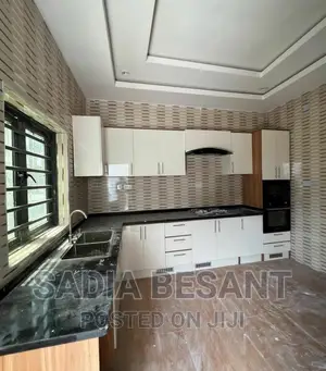 Exquisite Kitchen Cabinet Design With Accessories