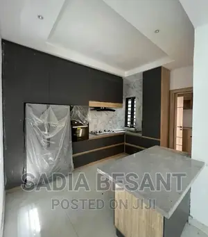 Exquisite Kitchen Cabinet Design With Accessories
