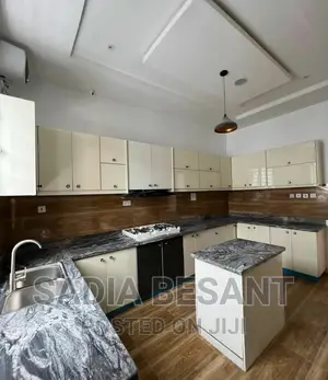 Exquisite Kitchen Cabinet Design With Accessories