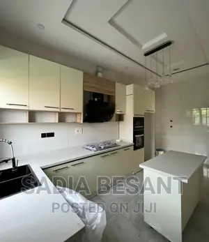Contemporary Kitchen Cabinet Design With Accessories