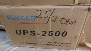 Blue Gate UPS Bg2500 2.5kva