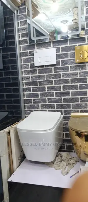 Masters Wall Hung Wc England