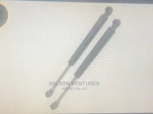 Car Front Bonet Shock