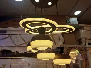 Brand New VIP Chandelier Light