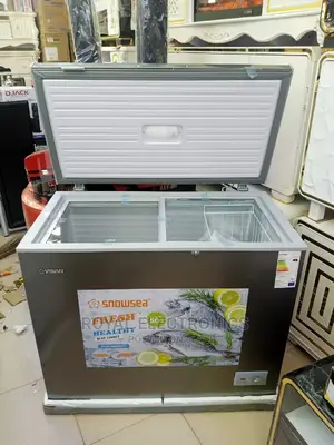 Best Quality Anti Rust Chest Freezer With Glass Cover