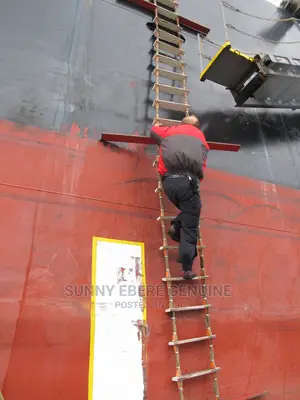 Marine Ladder, Marine Ladder For Boat Per Meter