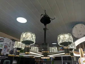 Very New SPRING Decorated 6 CHANDELIER LIGHTS