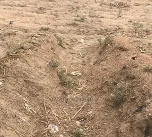 40 Plots of Dry Upland