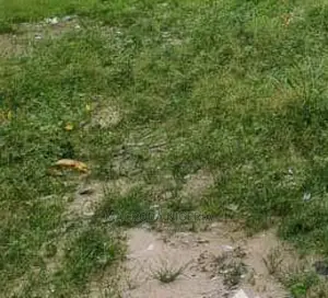 Facing Lekki-Epe Expressway: 3 PLOTS of Land.