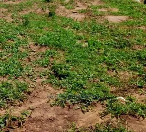 3000 Sqm Of Premium Water Front Land Directly On Addo Road