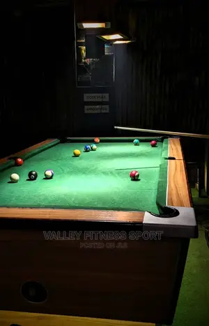 Coin and Mable Snooker Table