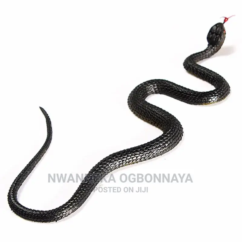 Rubber Snake for Prank Videos
