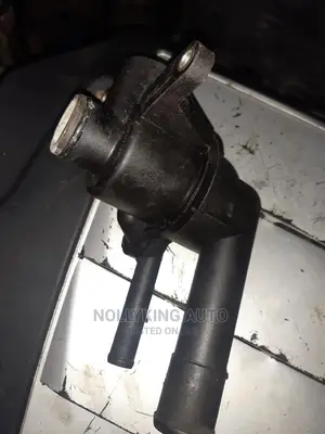 Kia Carnival 2004/05 Water Channel