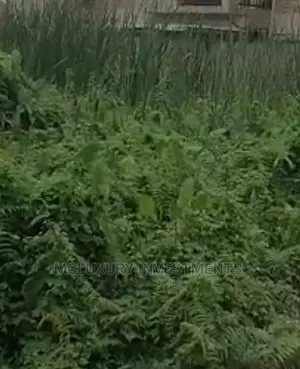 Land for Sale Ikoyi