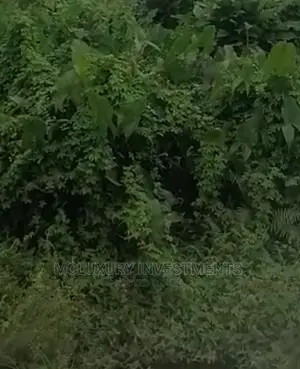 Well Located Land Available for Sale at Lekki