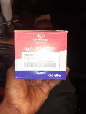 Hyundai Tucson 2009 Oil Filter