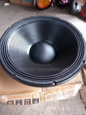 (125/5incoil) Big Magnet 18 Inches Stock Naked Speaker