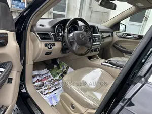 Mercedes-Benz M Class 2015 Black