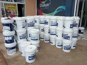 Caplux Paint Shop Anambra