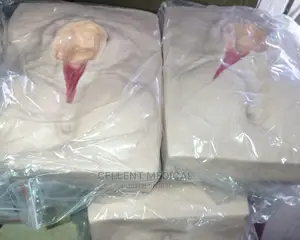Vulva Training Simulator