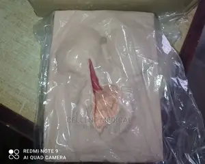 Vulva Training Simulator