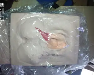Vulva Training Simulator
