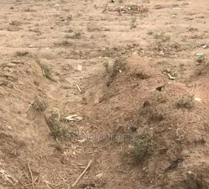 Quick Sales Beach Front Land