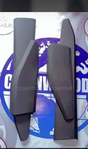 Door Moulding RAV4 2020