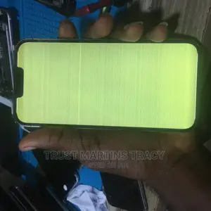 13promax Screen Displaying White Green Yellow