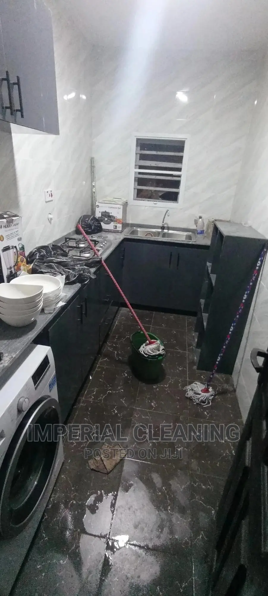 Professional Cleaners