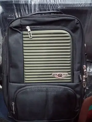 PL Power Back and Side Backpack With USB and Shoulder Strap