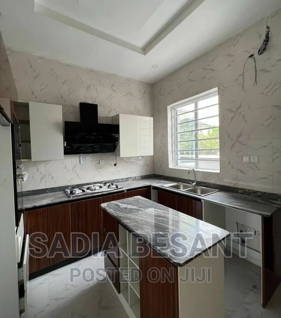 Exquisite Kitchen Cabinet Design With Accessories