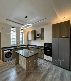 Luxury Kitchen Cabinet Design With Accessories