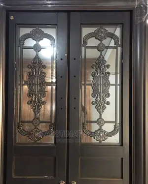 Glass Security Door